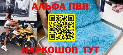 прущие крисы Кингисепп