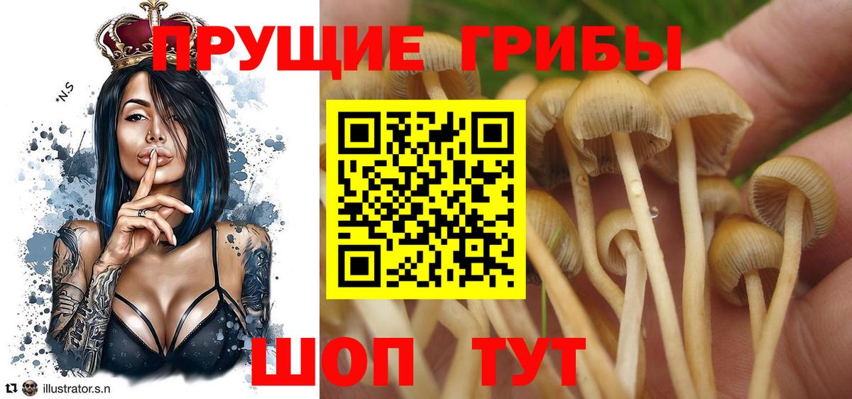 Галлюциногенные грибы Magic Shrooms Майкоп